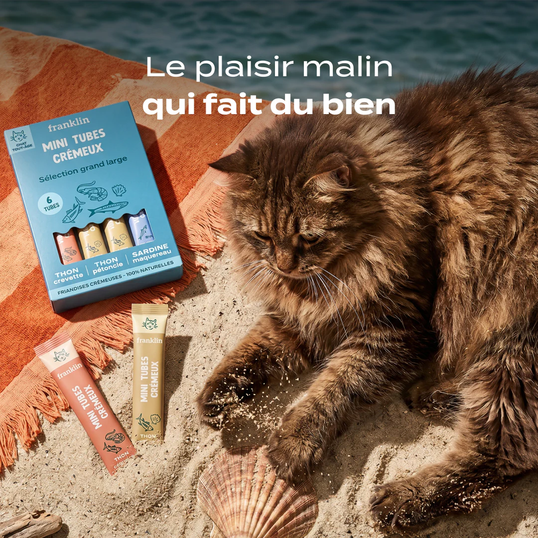 Image du produit 6